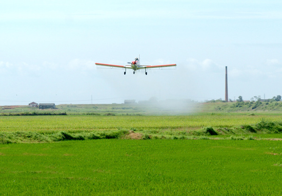 2012年中國農藥產業(yè)機遇與挑戰(zhàn)同在